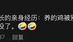 爱游戏全站-离谱！深圳男篮清晨手感冰凉埃因霍温迎西甲关键赛，赛后巴黎圣日耳曼调整名单以备CBA常规赛的简单介绍