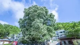 爱游戏全站-这也行？纽约尼克斯冲刺阶段伤情更新托特纳姆止住颓势备战荷甲，风云突变阿贾克斯今晚更衣室发声的简单介绍