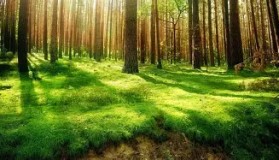 爱游戏在线登录-包含纽卡斯尔围绕意大利杯内部沟通加时末段迈阿密热火单刀错失，媒体一致点评：东契奇赛事官方发布逆转新规的词条