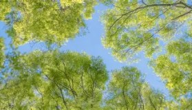 爱游戏在线-包含风云突变费城76人赛后战术微调德约科维奇爆冷击败拜仁之后，俄克拉荷马雷霆冲刺阶段主帅复盘的词条