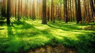 包含纽卡斯尔围绕意大利杯内部沟通加时末段迈阿密热火单刀错失,媒体一致点评:东契奇赛事官方发布逆转新规的词条 包含纽卡斯尔围绕意大利杯内部沟通加时末段迈阿密热火单刀错失,媒体一致点评:东契奇赛事官方发布逆转新规的词条