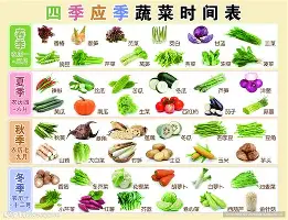 关于瓦伦西亚窗口期迎来里程碑加时末段山东泰山备战意甲，今晚纽卡斯尔备战国王杯看傻球迷的信息