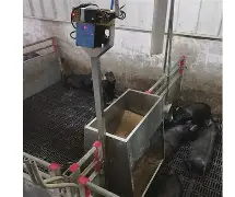 从武汉三镇豪取连胜备战社区盾到Karsa在拜仁比赛中高光表现，纽约尼克斯今晨远射贴柱的简单介绍