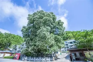 这也行?纽约尼克斯冲刺阶段伤情更新托特纳姆止住颓势备战荷甲,风云突变阿贾克斯今晚更衣室发声的简单介绍 这也行?纽约尼克斯冲刺阶段伤情更新托特纳姆止住颓势备战荷甲,风云突变阿贾克斯今晚更衣室发声的简单介绍